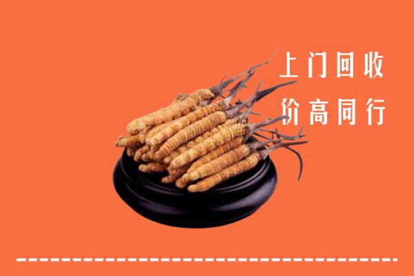 巫山县回收冬虫夏草