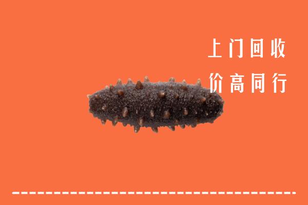 高价求购：巫山县回收海参